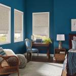 Roller Shades Solar Shades