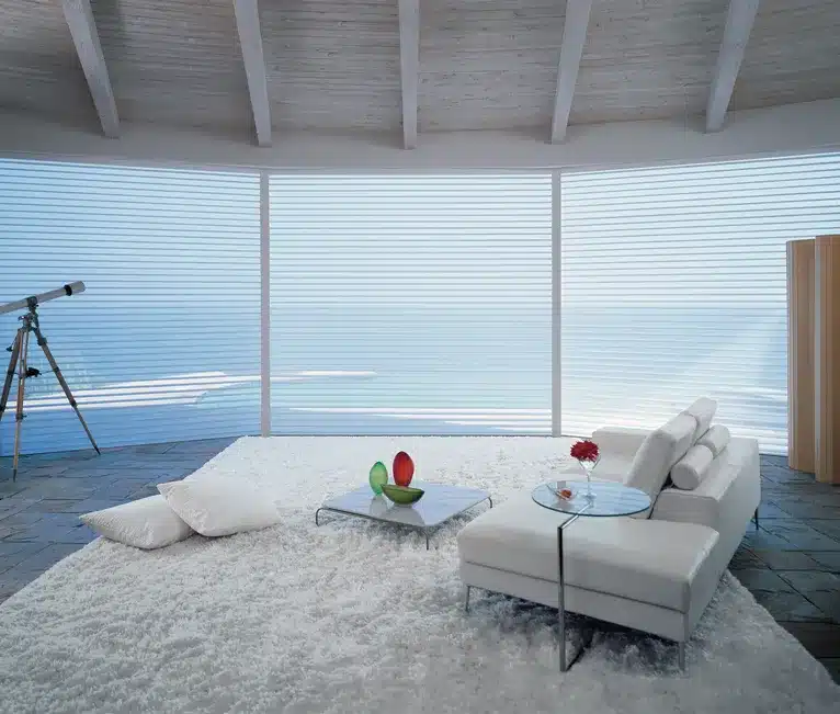 Silhouette shadings in a Rockville living room