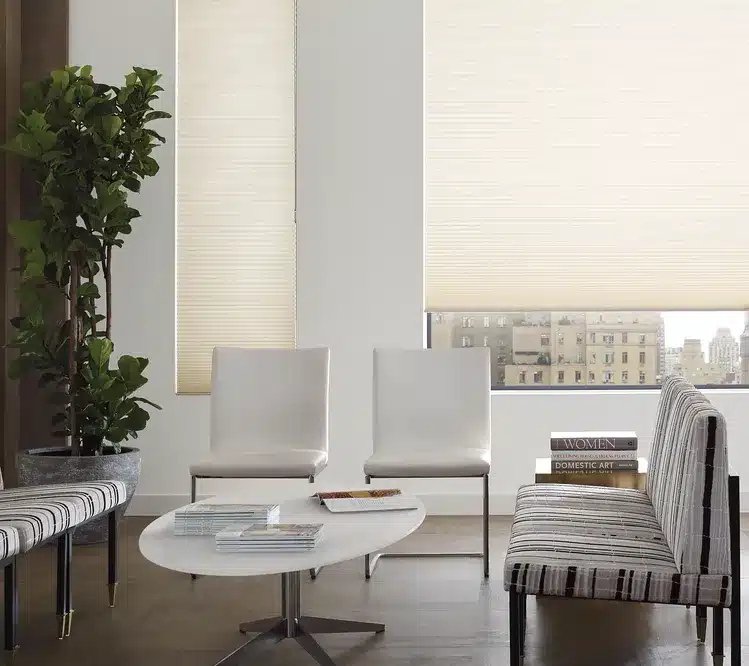 Commercial shades in a Dulles corridor office