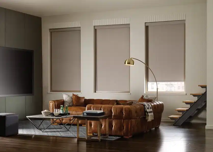 Designer roller shades in a Merrifield living room